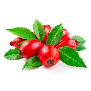 rosa amazonica.png