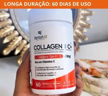 colageno tipo 2
