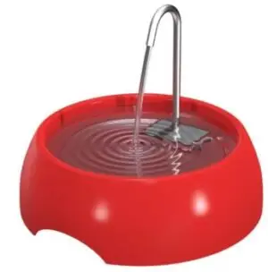 fonte de agua