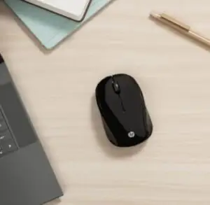mouse