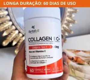 colageno tipo 2