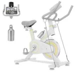 bicicleta ergometrica